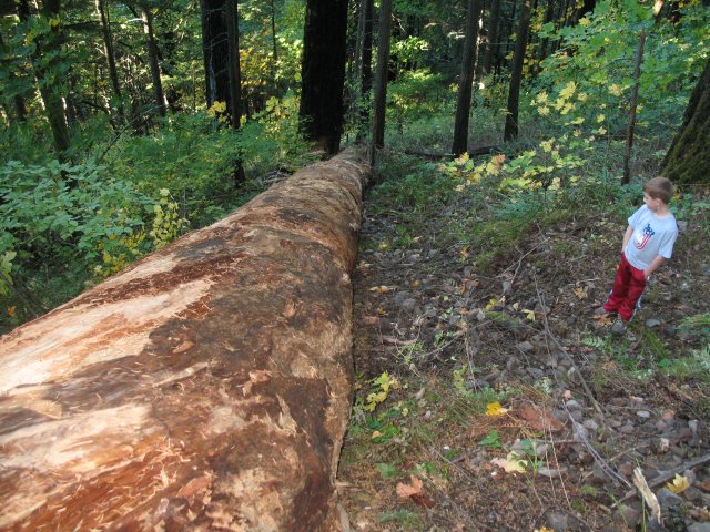 10.21.06 Wauna Viewpoint 026 